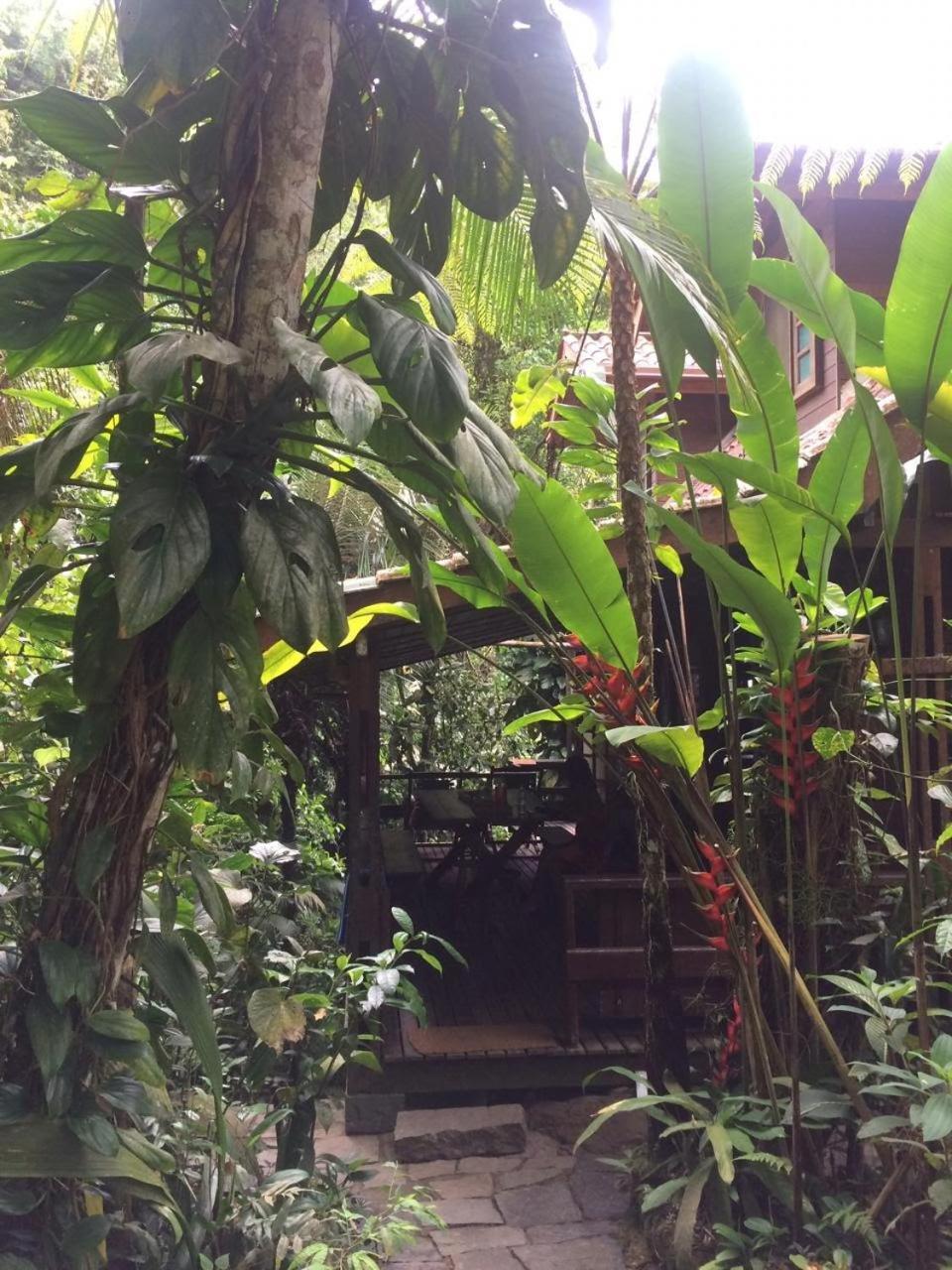 Trindade Sea And Forest Yoga Hostel Bagian luar foto