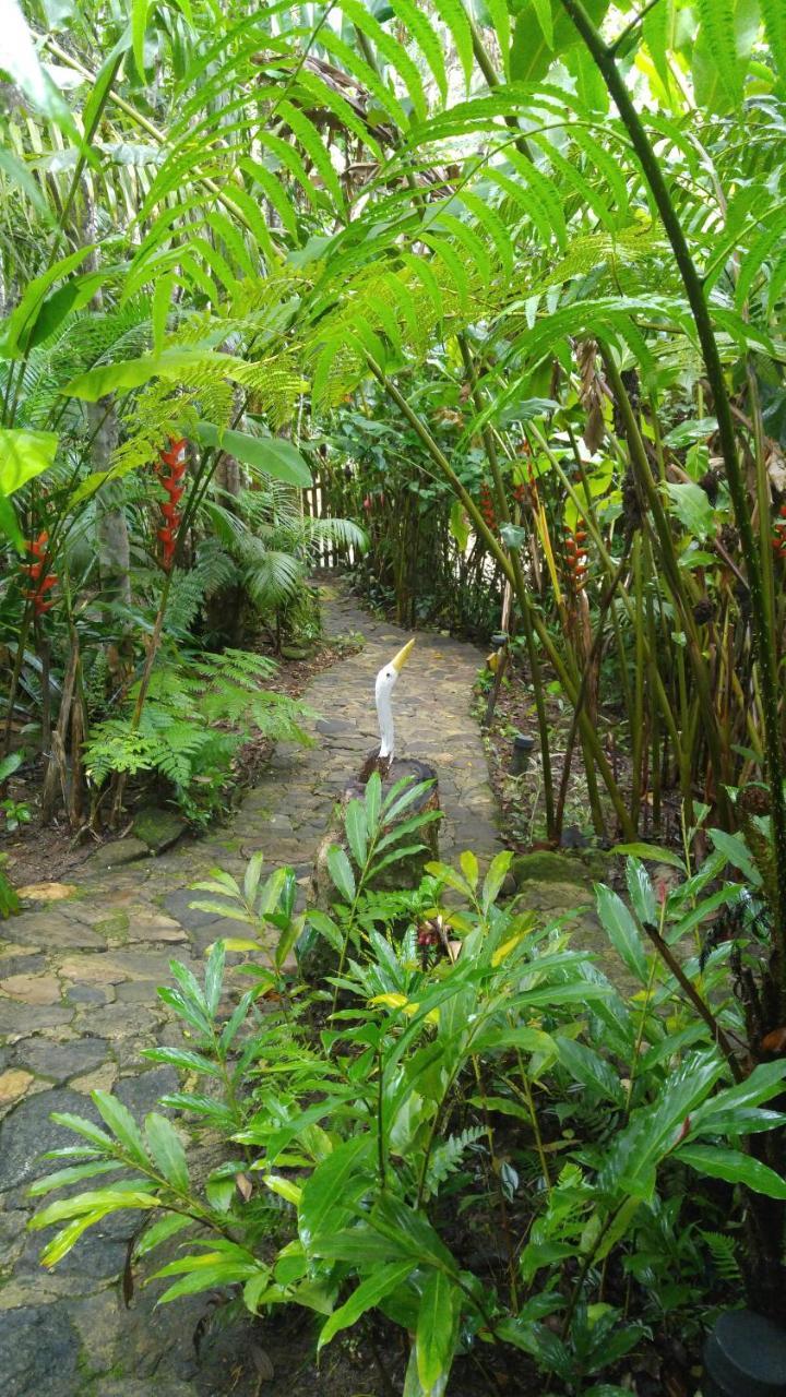Trindade Sea And Forest Yoga Hostel Bagian luar foto